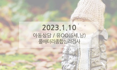 [2023.1.10] 아동상담 / 풀배터리종합심리검사