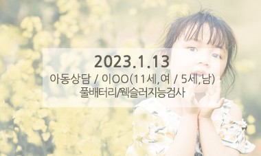 [2023.1.13] 아동상담 / 풀배터리/웩슬러지능검사