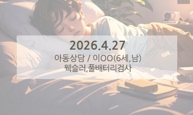 [2026.4.27] 아동심리상담 / 웩슬러,풀배터리검사
