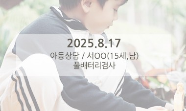[2025.8.17] 아동심리상담 / 풀배터리검사