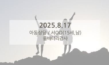 [2025.8.17] 아동심리상담 / 풀배터리검사
